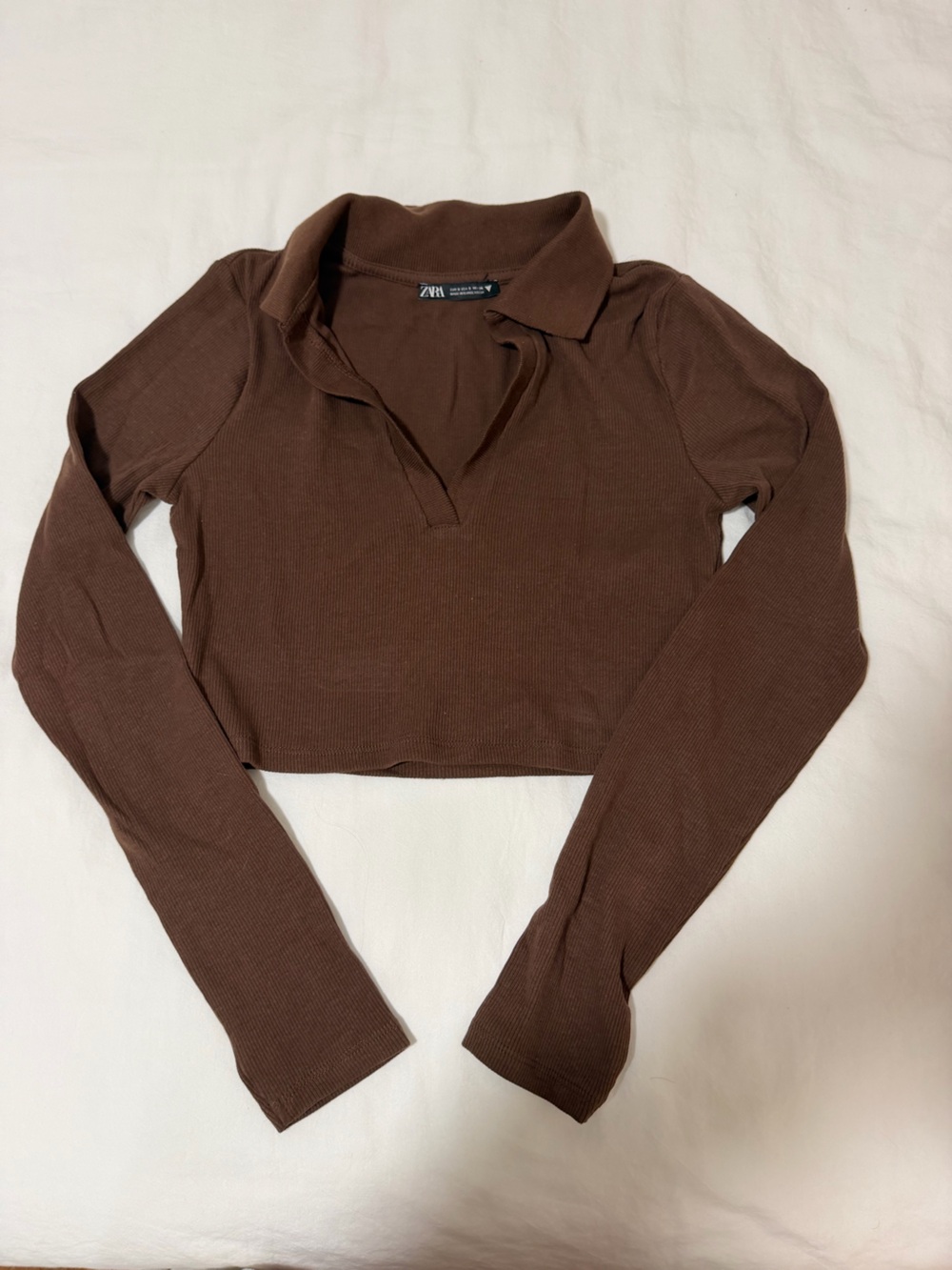 Brown Zara long sleeve crop top